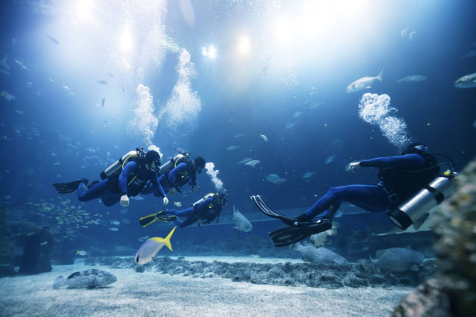 Scuba diving underwater