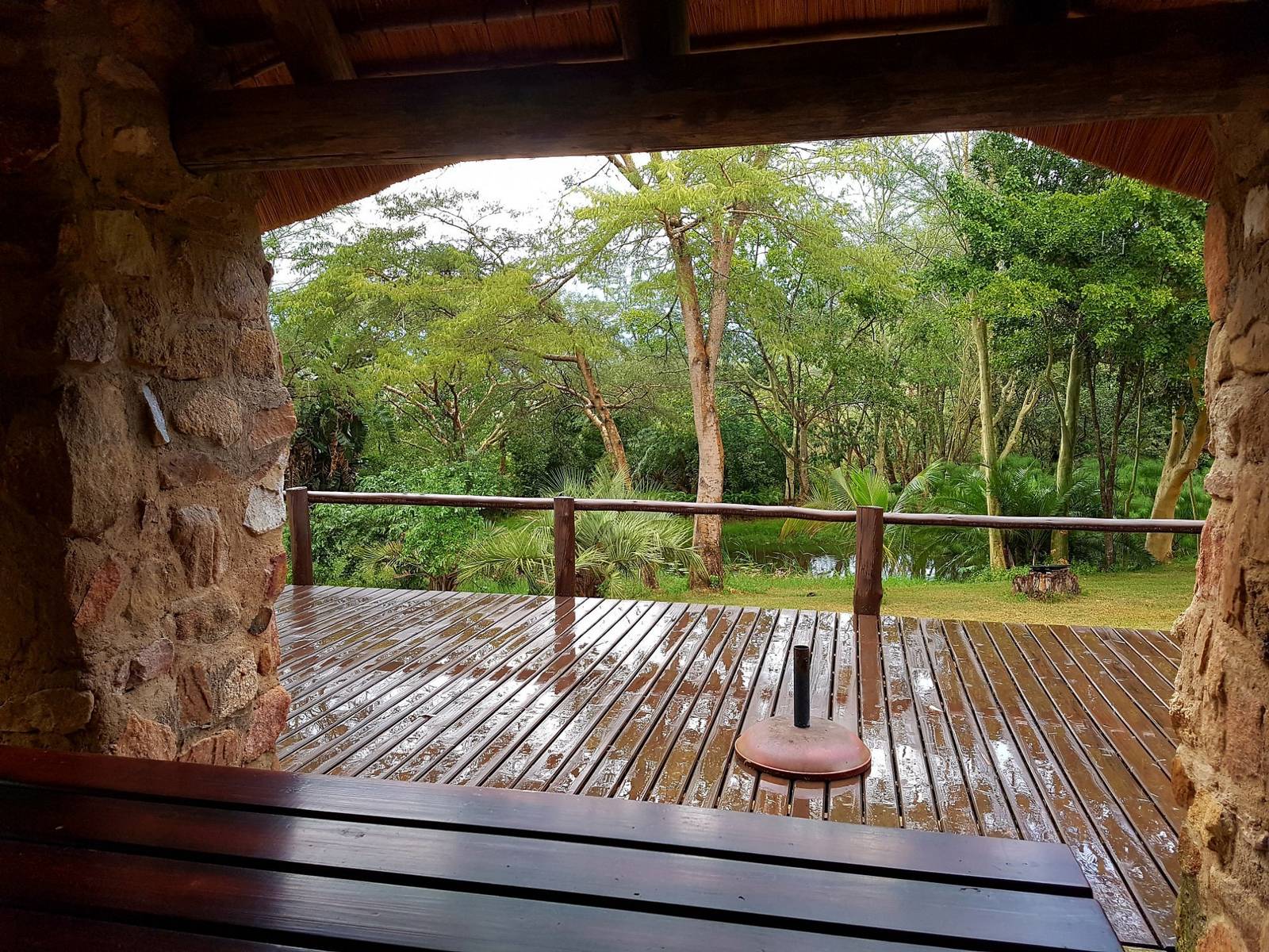 Feather Fern Lodge — photo 3