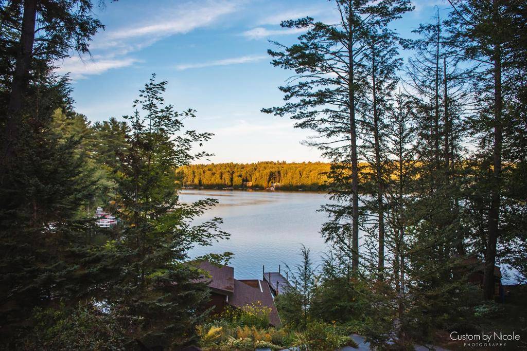 The Fern Lodge — photo 5